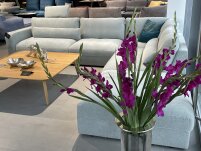 Narożnik Cadabra - 3