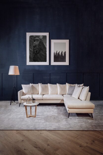 Ecksofa Salma from 2893 zł