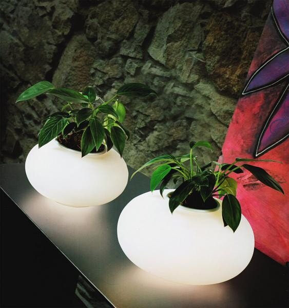 Lampa stołowa Flora - połączenie lampy z donicą