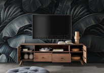 RTV II Aron buk tabak - 2