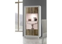 Sky Witryna 2 drzwi - 3