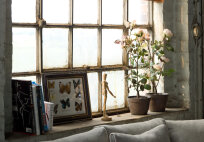 Ecksofa Blues Furninova - 14