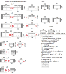 Nowoczesny narożnik Santa Lucia - 8